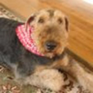 Meet your Posher, Arlene